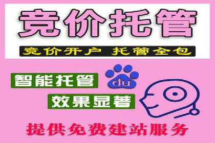 百度推广全解析：某公司如何通过推广获得高流量